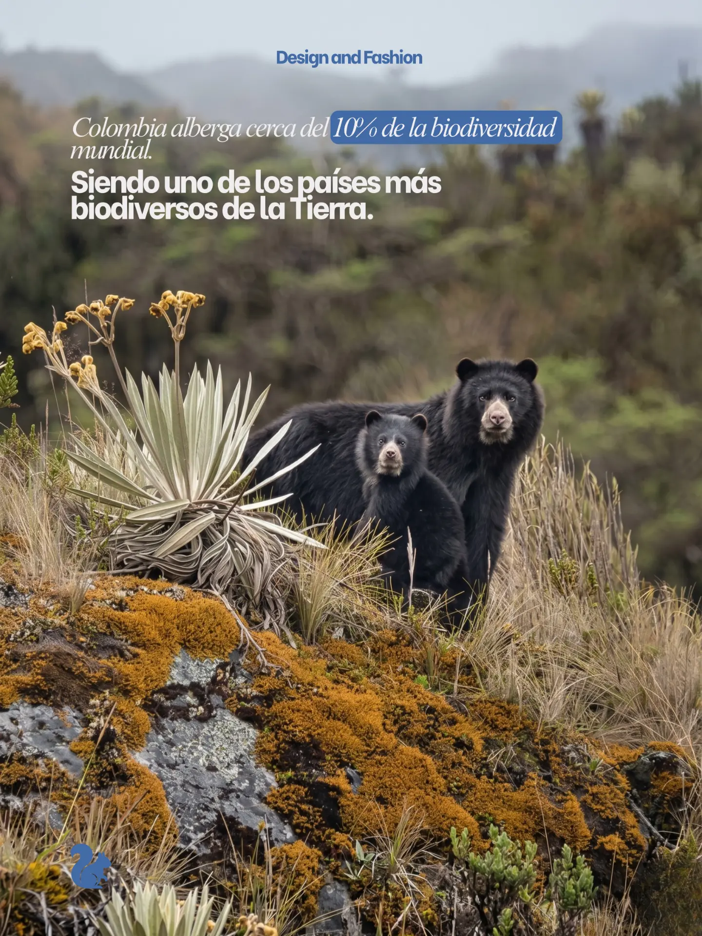 Camiseta Territorio de Vida con ilustración de oso de anteojos y palma de cera — vista 3
