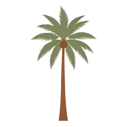 Palma de cera